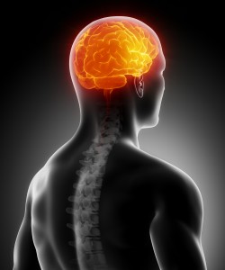 Glowing brain with spine